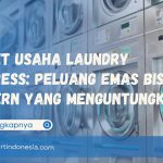 Paket Usaha Laundry Express: Peluang Emas Bisnis Modern yang Menguntungkan