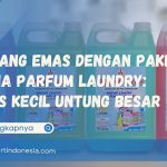Peluang Emas dengan Paket Usaha Parfum Laundry: Bisnis Kecil Untung Besar