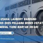 Paket Usaha Laundry di Bandung Terlaris 2025 Peluang Bisnis Cepat Balik Modal yang Banyak Dicari