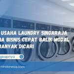 Paket Usaha Laundry Singaraja Rahasia Bisnis Cepat Balik Modal yang Banyak Dicari