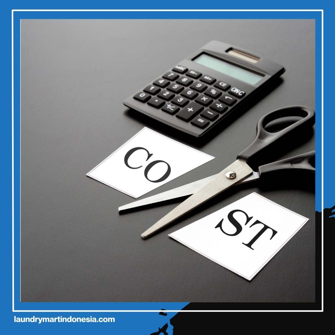 Omzet Meledak! Rahasia Laundry Cepat Kaya Cuma Modal Mesin Pengering Laundry Gas Ini!