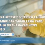Akhirnya Ketemu! Deterjen Laundry yang Wangi dan Tahan Lama yang Selama Ini Dirahasiakan Hotel Bintang 5