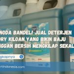 Anti-Noda Bandel! Jual Deterjen Laundry Kiloan yang Bikin Baju Pelanggan Bersih Mengkilap Sekali Cuci