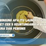 Masih Bingung Apa Itu Laundry Self Service? Cek 5 Keuntungannya Buat Pengguna dan Pebisnis