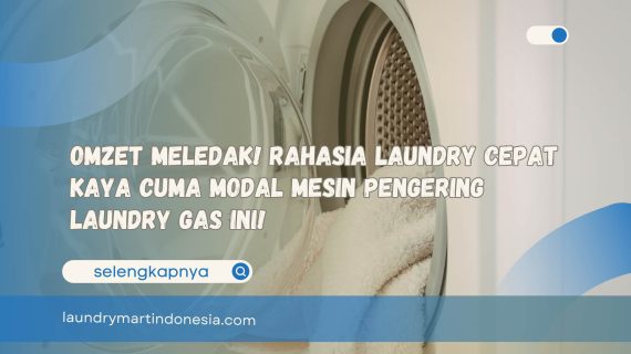 Omzet Meledak! Rahasia Laundry Cepat Kaya Cuma Modal Mesin Pengering Laundry Gas Ini!