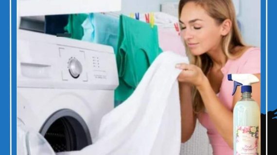 Deterjen Laundry Extra Aroma Strong 5 Liter Rahasia Wangi Tahan Lama yang Bikin Pelanggan Ketagihan