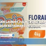 Deterjen Laundry Paling Wangi Bikin Pelanggan Ketagihan dan Usaha Makin Laris