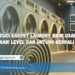 Mesin Cuci Karpet Laundry Bikin Usaha Kamu Naik Level dan Untung Berkali Lipat
