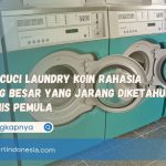 Mesin Cuci Laundry Koin Rahasia Untung Besar yang Jarang Diketahui Pebisnis Pemula