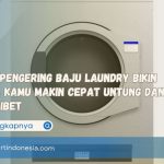 Mesin Pengering Baju Laundry Bikin Usaha Kamu Makin Cepat Untung dan Anti Ribet