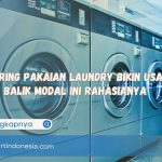 Pengering Pakaian Laundry Bikin Usaha Cepat Balik Modal Ini Rahasianya