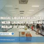 Bisa Tinggal Liburan! Begini Cara Kerja Mesin Laundry Koin Yang Bikin Omset Ngalir 24 Jam