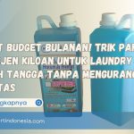 Hemat Budget Bulanan! Trik Pakai Deterjen Kiloan untuk Laundry dan Rumah Tangga Tanpa Mengurangi Kualitas