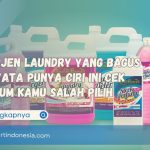 Deterjen Laundry yang Bagus Ternyata Punya Ciri Ini Cek Sebelum Kamu Salah Pilih